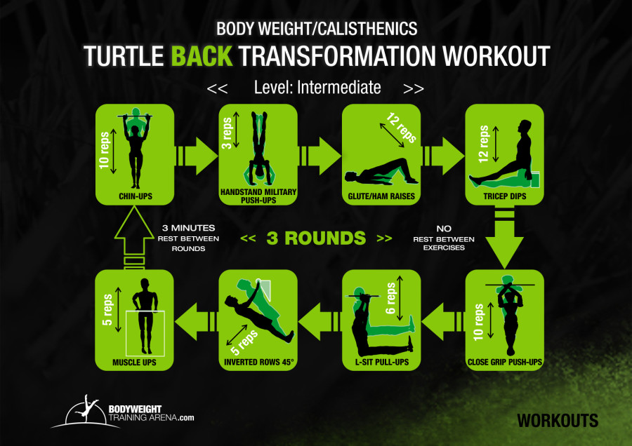 Turtle Back Calisthenics Workout Bodyweight Training Arena
