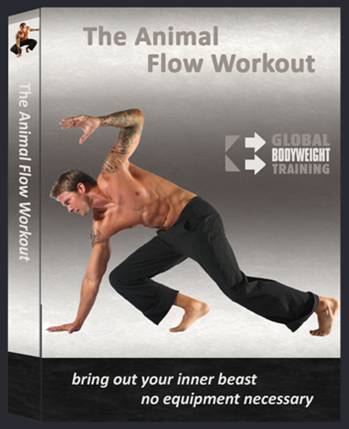 Animal Flow Workout Review