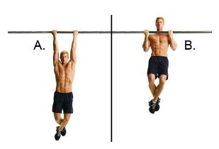 Calisthenics & Weight Training - Awesome Chart of some Bodyweight Exercises  categorized by muscle group. There is also an Muscle Map if you want to  learn the very basics of the muscular