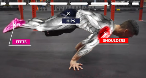 planche muscles