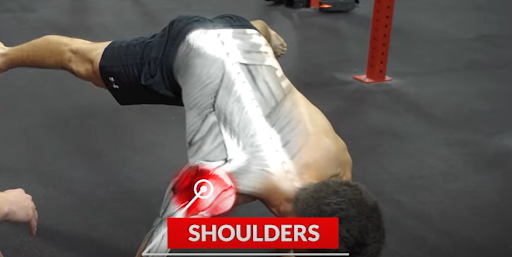 shoulder muscle