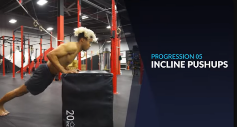 Pushing Limits: Master the 9 Progressions of Push-Ups, From Novice to ...