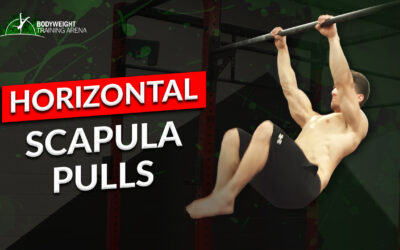 Horizontal Scapula Pulls: The Secret to Building Strong Shoulders and a Powerful Back