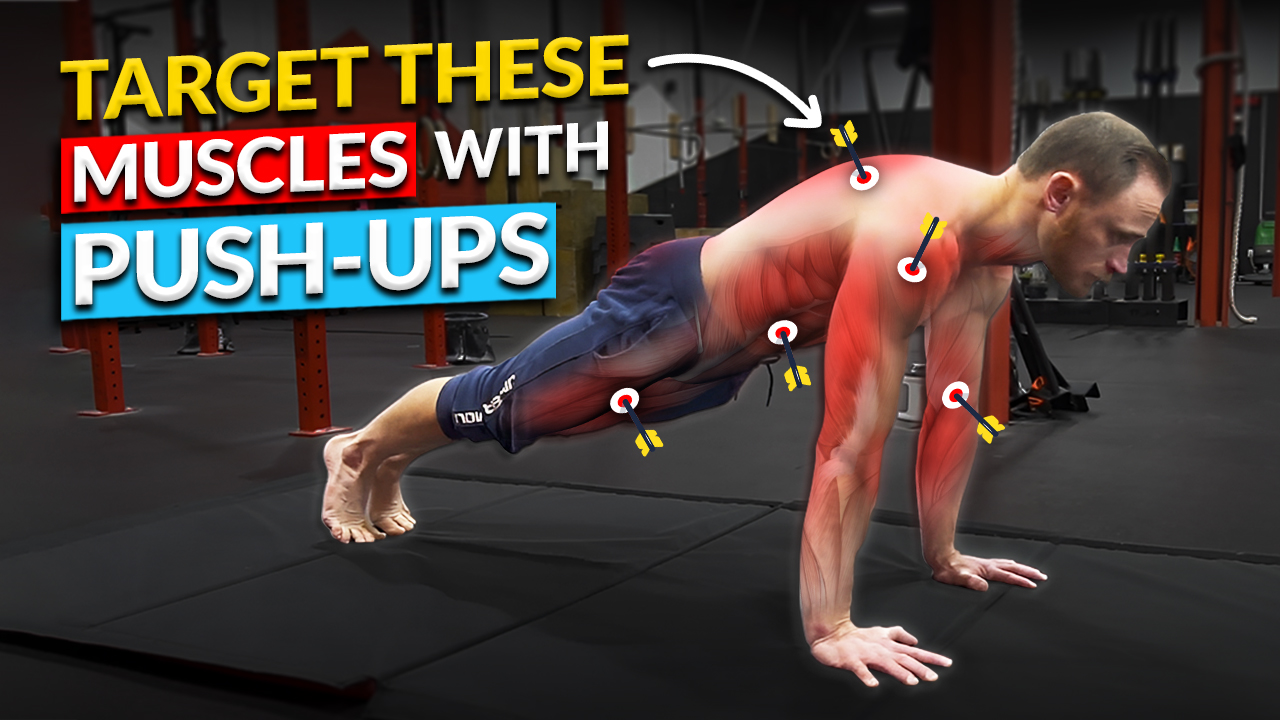 Push Up Muscles Activated Push Up Muscles Activated