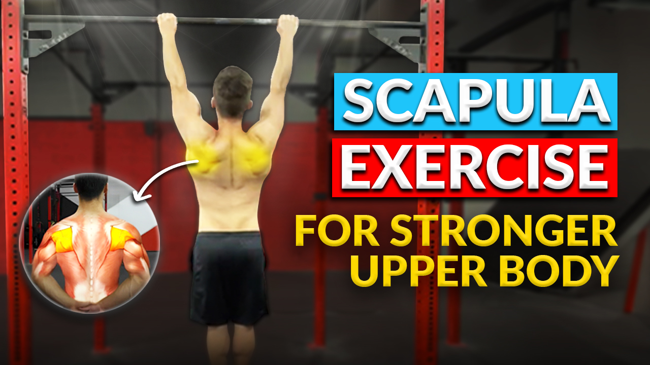 Elevate Your Training: The Art of Scapula Pull Exercises