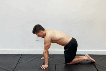 Planche leans (hands underneath navel)