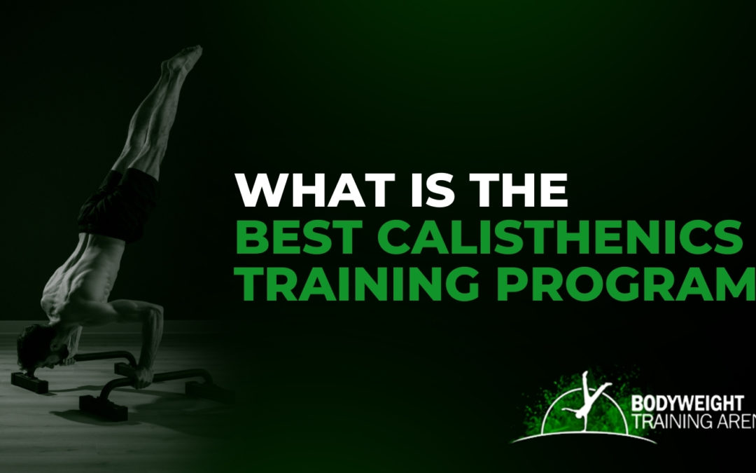What is The Best Calisthenics Training Program?