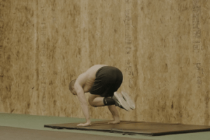 Planche Progressions - Bodyweight Training Arena