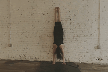 TMA Handstand hold (against wall)