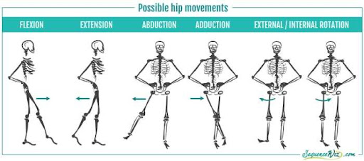 Hip movements