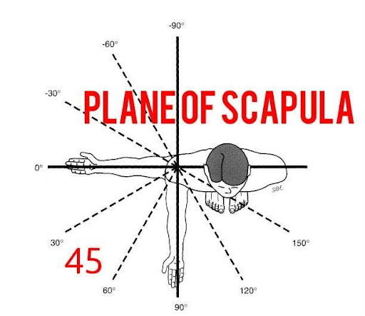 Plane of Scapula