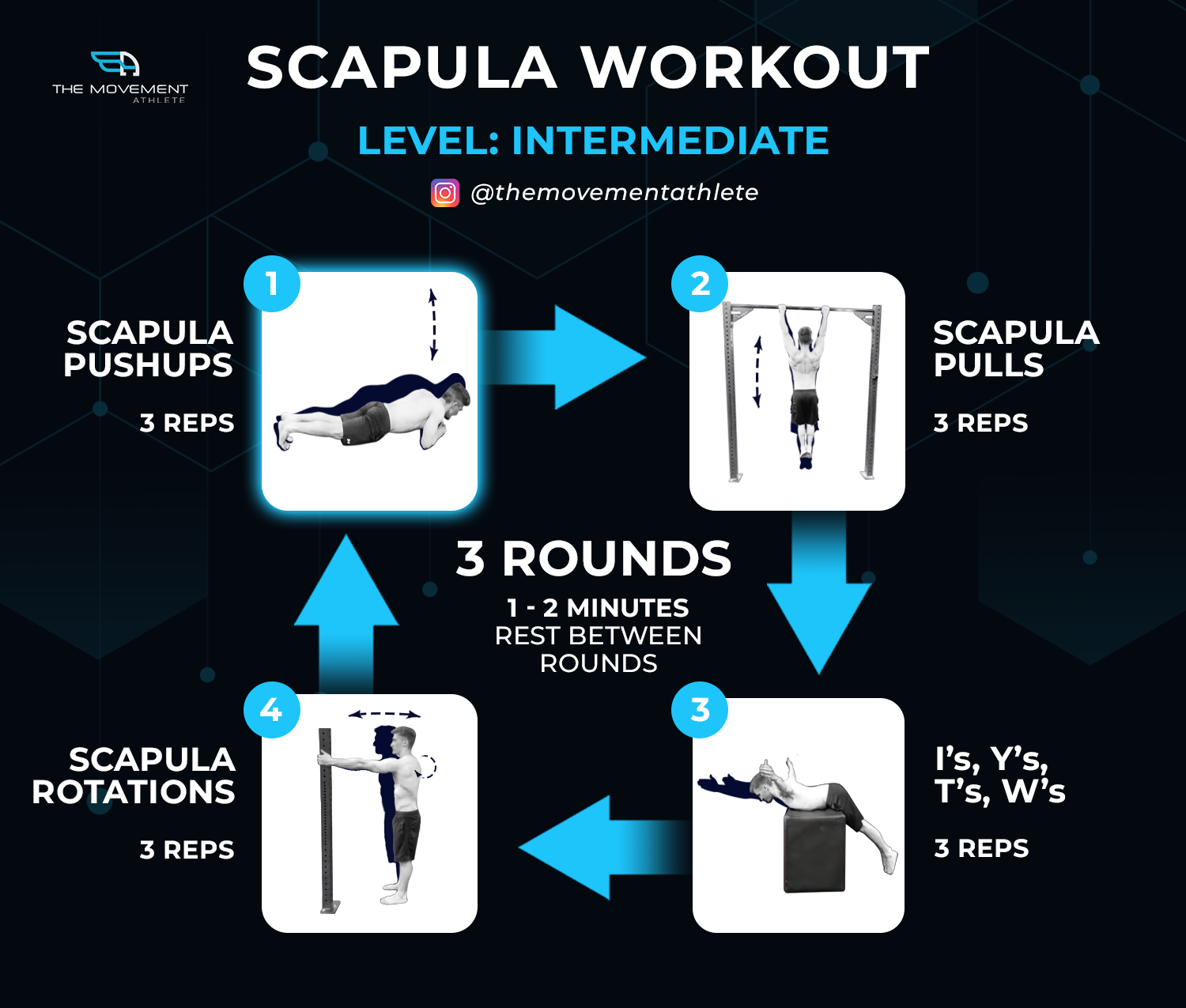 Scapula Workout