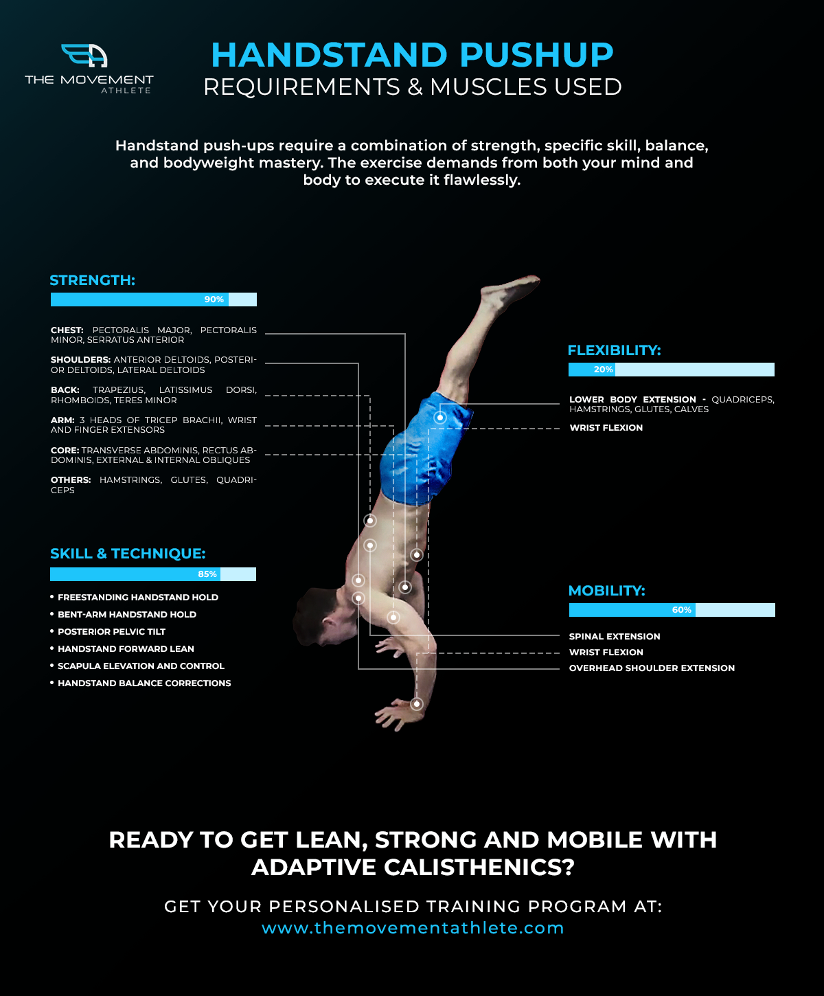 Handstand Pushup Requirements and Muscle Used