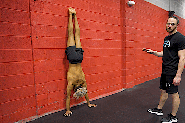 Wall Handstand Thigh Taps