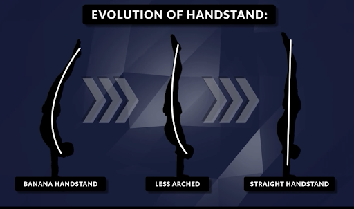 Evolution of Handstand