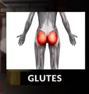 Hollow hold glutes