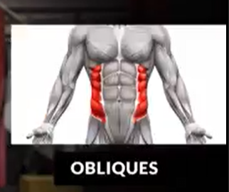 Hollow hold obliques