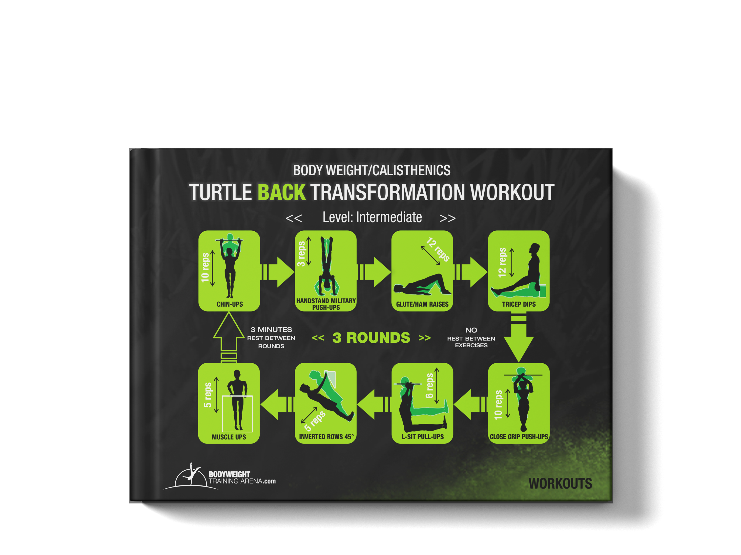 best turtle back calisthenics workout