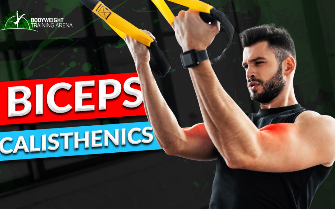 The Ultimate Guide to Bicep Calisthenics