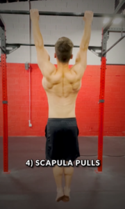 Scapula Pulls