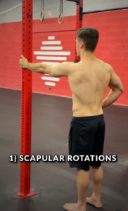 Scapular Rotations