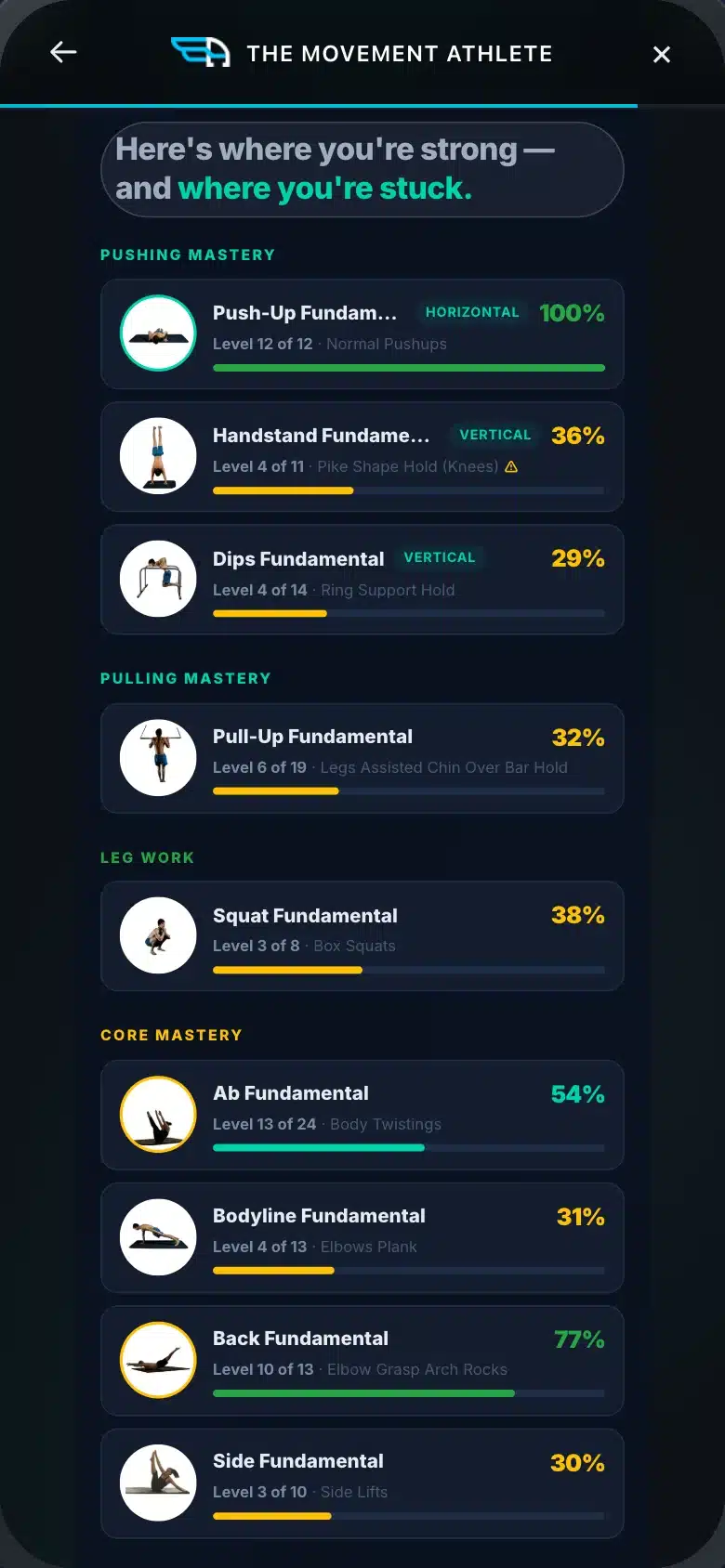 The assessment's results screen: all nine fundamentals scored, each placed at an exact level.